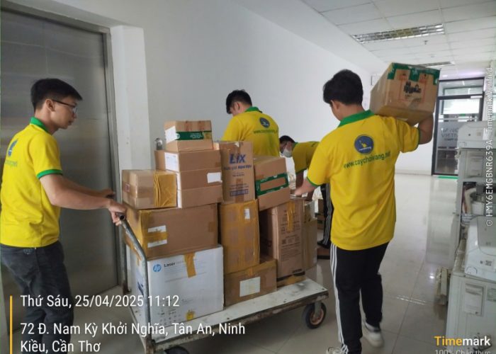 Dịch Vụ Di Dời Văn Phòng Chuyên Nghiệp